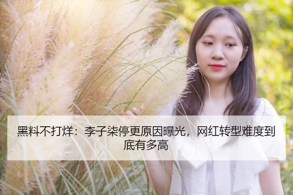 黑料不打烊：李子柒停更原因曝光，网红转型难度到底有多高